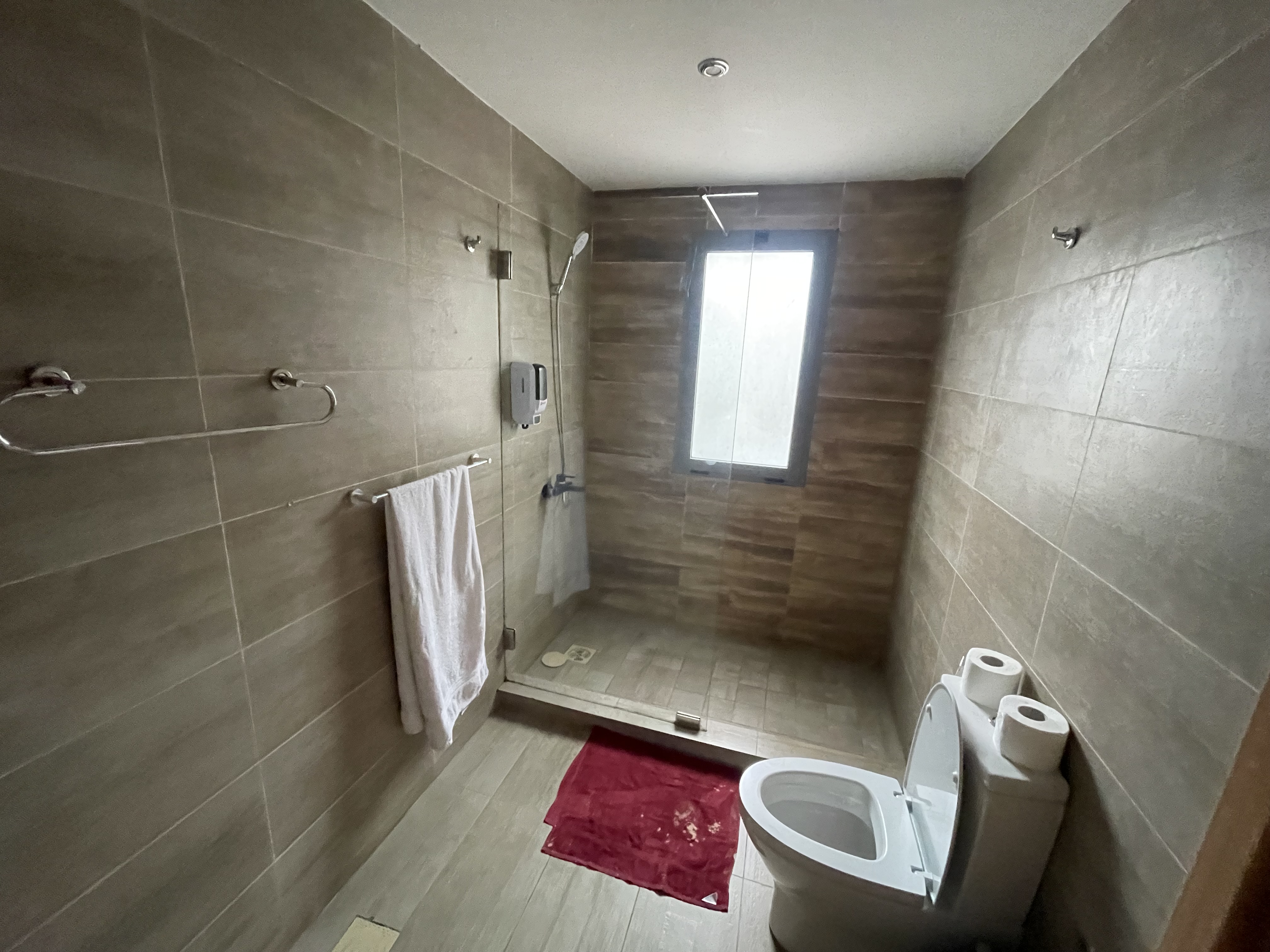 SKYSUITE APARTMENT ( one bedroom)