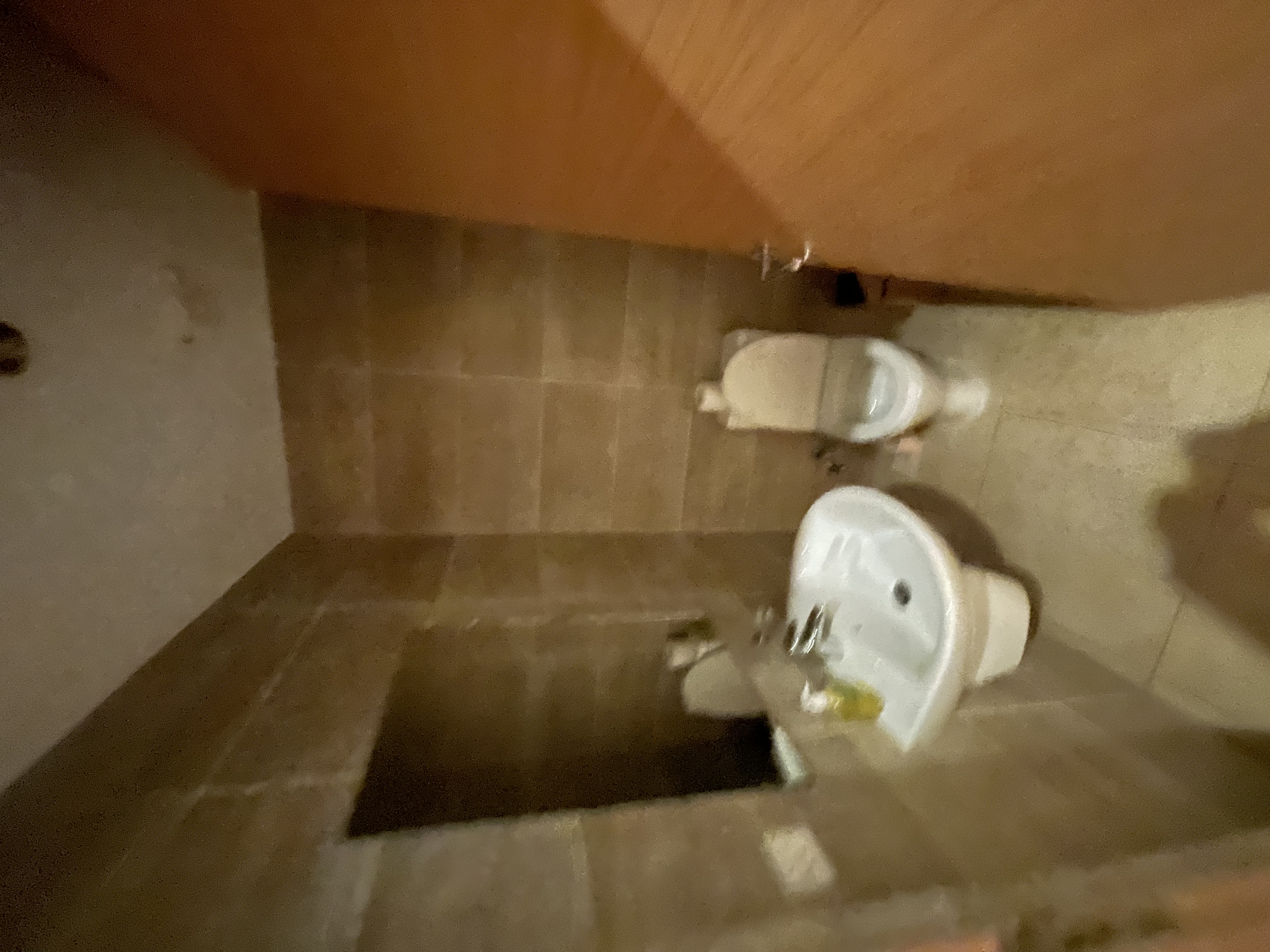 SKYSUITE APARTMENT ( one bedroom)